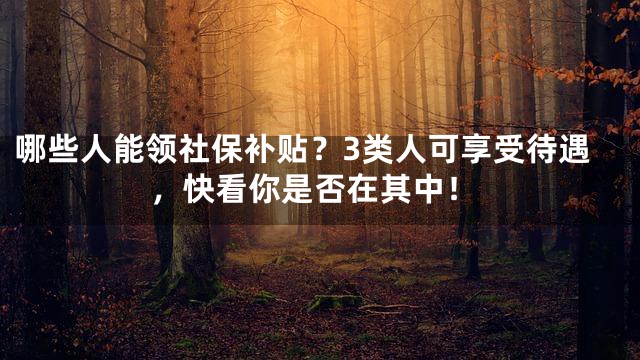 哪些人能领社保补贴？3类人可享受待遇，快看你是否在其中！
