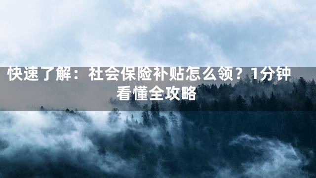 快速了解：社会保险补贴怎么领？1分钟看懂全攻略