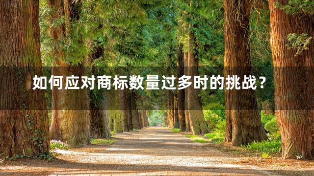 如何应对商标数量过多时的挑战？