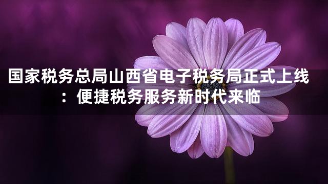 国家税务总局山西省电子税务局正式上线：便捷税务服务新时代来临
