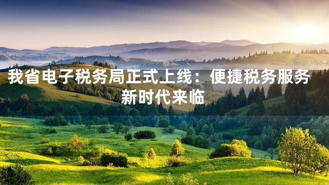 我省电子税务局正式上线：便捷税务服务新时代来临