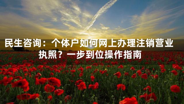 民生咨询：个体户如何网上办理注销营业执照？一步到位操作指南
