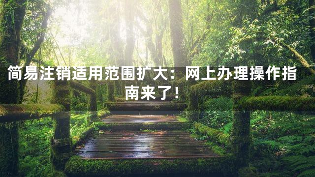 简易注销适用范围扩大：网上办理操作指南来了！