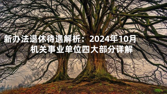 新办法退休待遇解析：2024年10月机关事业单位四大部分详解