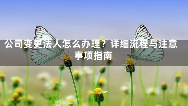 公司变更法人怎么办理？详细流程与注意事项指南
