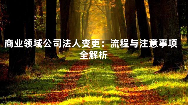 商业领域公司法人变更：流程与注意事项全解析