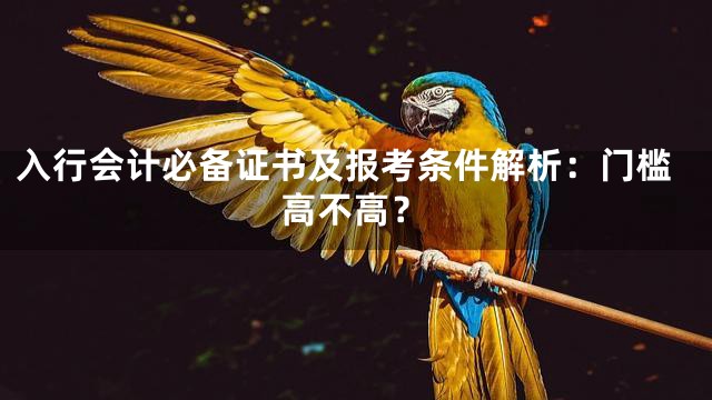 入行会计必备证书及报考条件解析：门槛高不高？