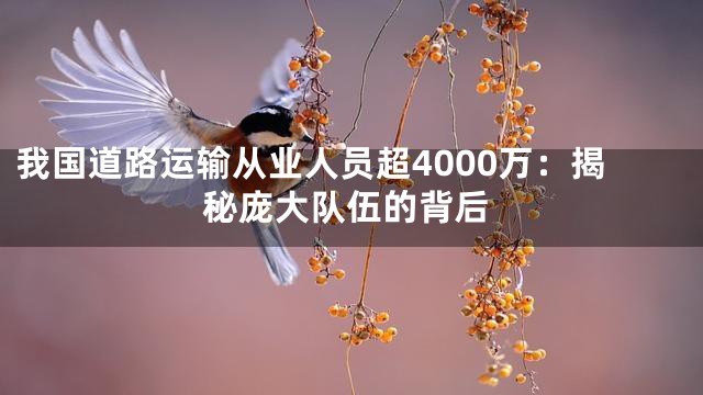 我国道路运输从业人员超4000万：揭秘庞大队伍的背后