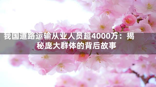 我国道路运输从业人员超4000万：揭秘庞大群体的背后故事
