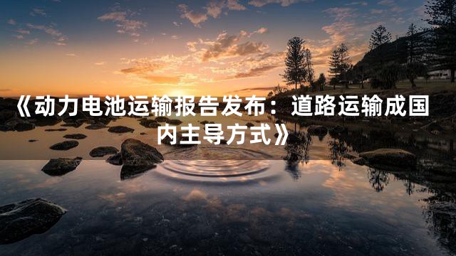 《动力电池运输报告发布：道路运输成国内主导方式》