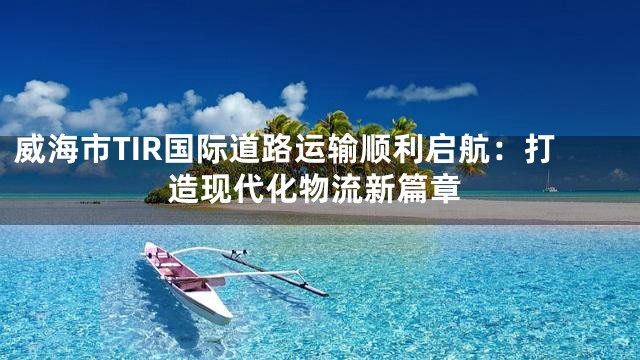 威海市TIR国际道路运输顺利启航：打造现代化物流新篇章