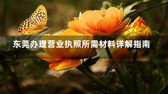 东莞办理营业执照所需材料详解指南