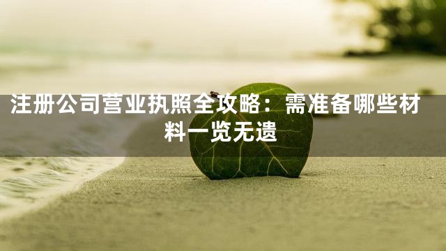 注册公司营业执照全攻略：需准备哪些材料一览无遗