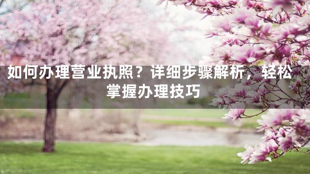 如何办理营业执照？详细步骤解析，轻松掌握办理技巧