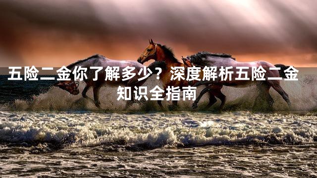 五险二金你了解多少？深度解析五险二金知识全指南