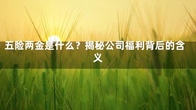 五险两金是什么？揭秘公司福利背后的含义