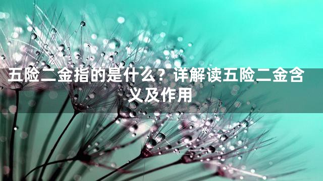 五险二金指的是什么？详解读五险二金含义及作用