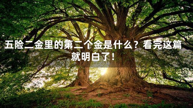五险二金里的第二个金是什么？看完这篇就明白了！