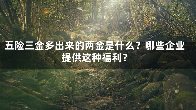 五险三金多出来的两金是什么？哪些企业提供这种福利？