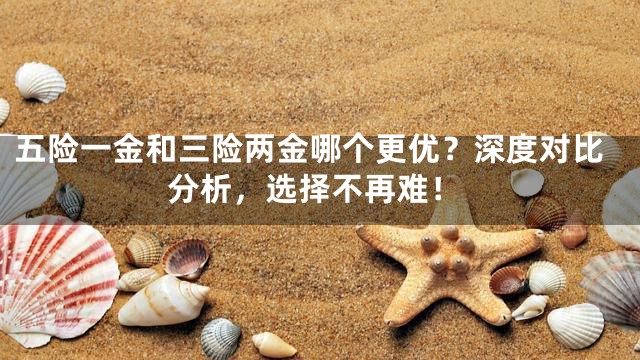 五险一金和三险两金哪个更优？深度对比分析，选择不再难！