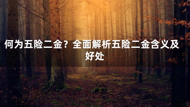 何为五险二金？全面解析五险二金含义及好处