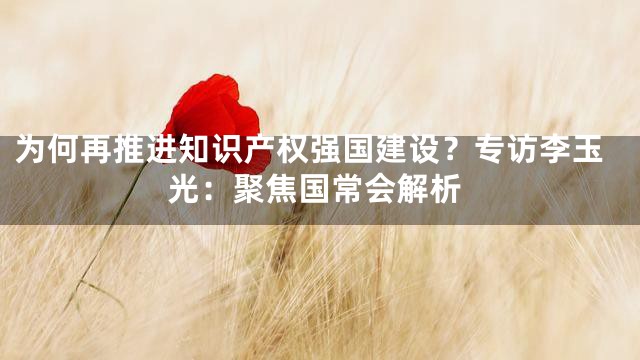 为何再推进知识产权强国建设？专访李玉光：聚焦国常会解析