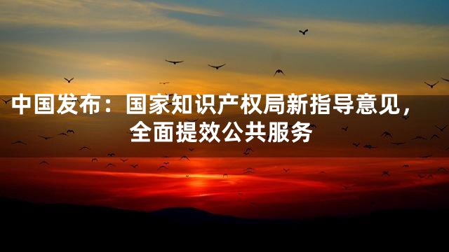 中国发布：国家知识产权局新指导意见，全面提效公共服务