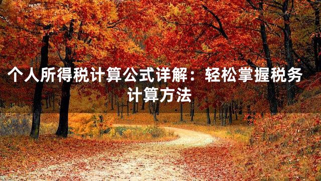 个人所得税计算公式详解：轻松掌握税务计算方法