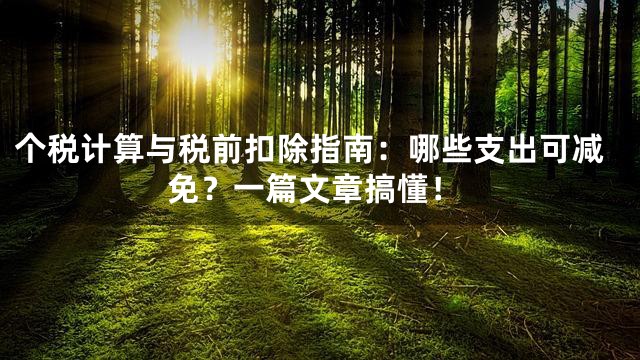 个税计算与税前扣除指南：哪些支出可减免？一篇文章搞懂！