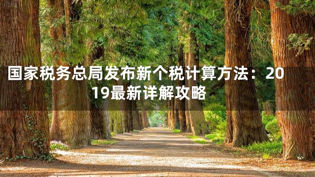 国家税务总局发布新个税计算方法：2019最新详解攻略