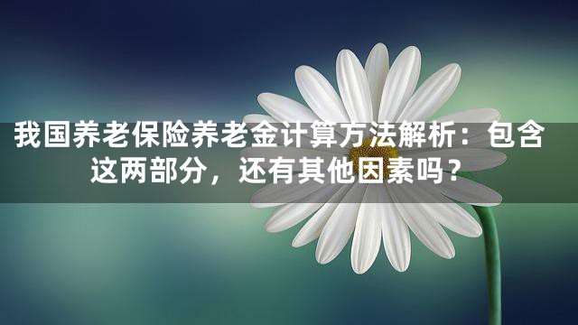 我国养老保险养老金计算方法解析：包含这两部分，还有其他因素吗？