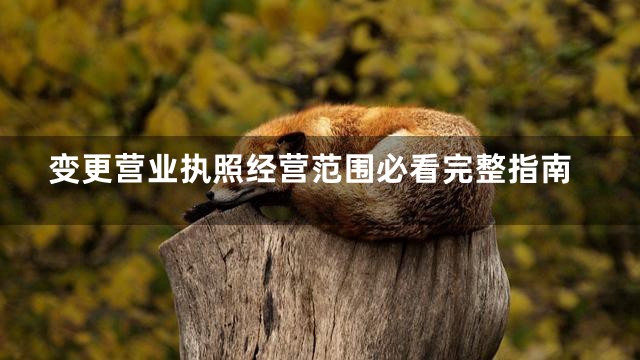 变更营业执照经营范围必看完整指南