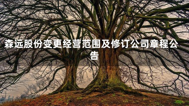 森远股份变更经营范围及修订公司章程公告