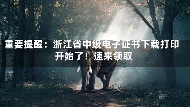重要提醒：浙江省中级电子证书下载打印开始了！速来领取
