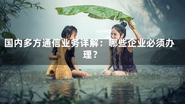 国内多方通信业务详解：哪些企业必须办理？