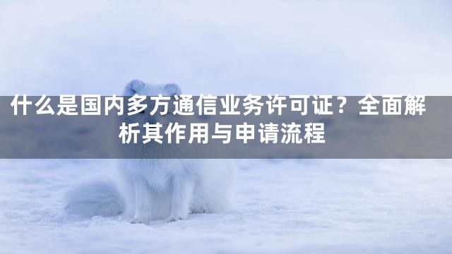 什么是国内多方通信业务许可证？全面解析其作用与申请流程