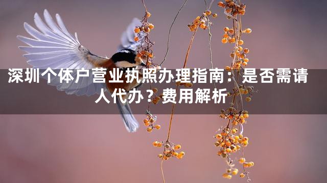 深圳个体户营业执照办理指南：是否需请人代办？费用解析