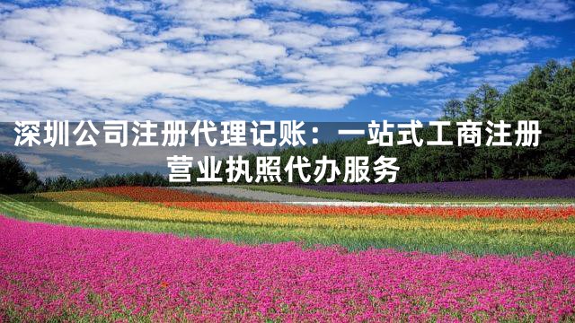 深圳公司注册代理记账：一站式工商注册营业执照代办服务