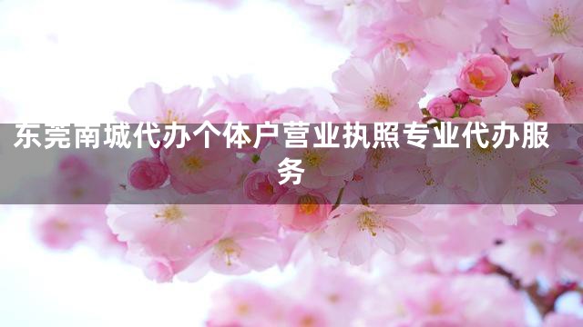 东莞南城代办个体户营业执照专业代办服务