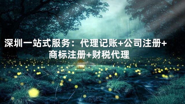 深圳一站式服务：代理记账+公司注册+商标注册+财税代理
