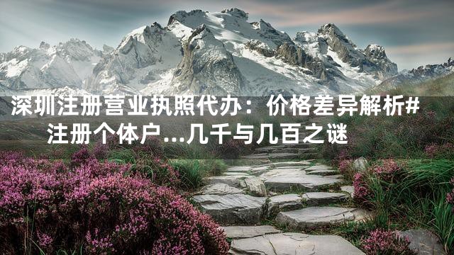 深圳注册营业执照代办：价格差异解析#注册个体户...几千与几百之谜