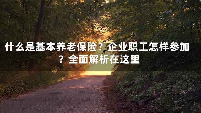 什么是基本养老保险？企业职工怎样参加？全面解析在这里