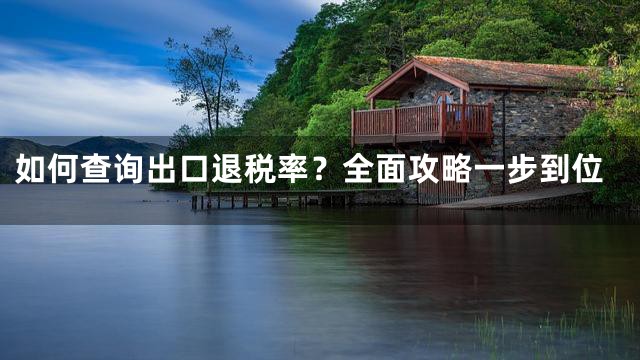 如何查询出口退税率？全面攻略一步到位