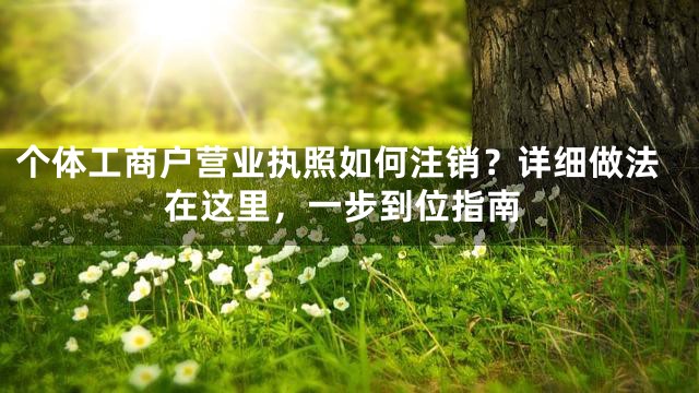 个体工商户营业执照如何注销？详细做法在这里，一步到位指南