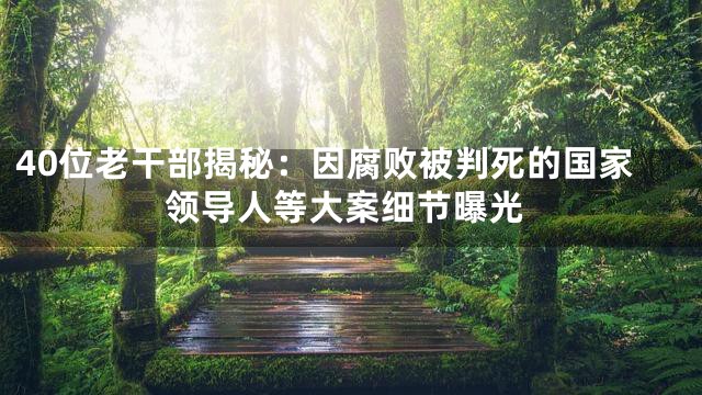 40位老干部揭秘：因腐败被判死的国家领导人等大案细节曝光