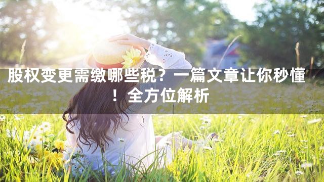 股权变更需缴哪些税？一篇文章让你秒懂！全方位解析