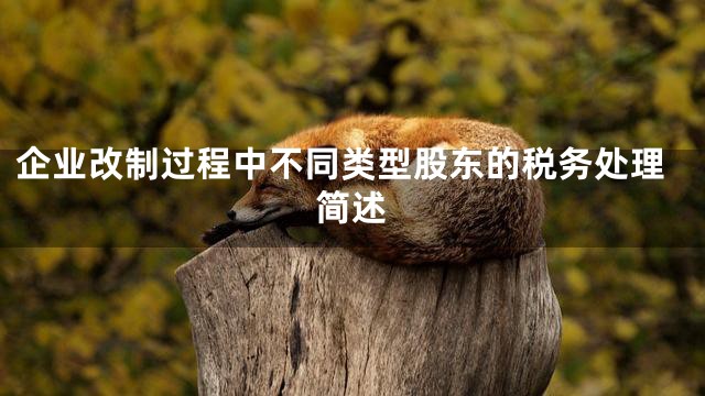企业改制过程中不同类型股东的税务处理简述
