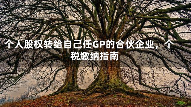 个人股权转给自己任GP的合伙企业，个税缴纳指南