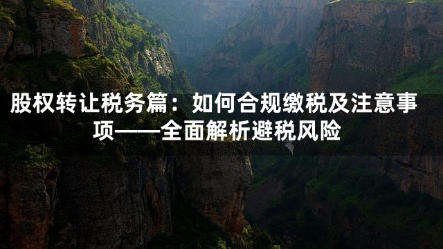 股权转让税务篇：如何合规缴税及注意事项——全面解析避税风险