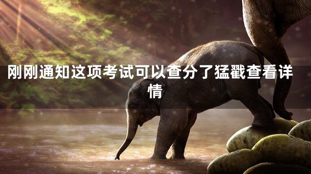 刚刚通知这项考试可以查分了猛戳查看详情